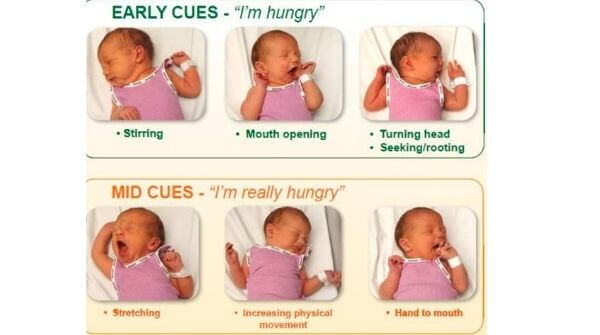 Becoming a father is a great responsibility, these are various ways  in which baby shows cues or signals for hunger.