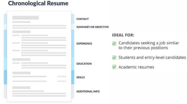 This image is an example of excellent sample format of chronological resume.