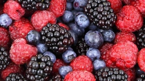 Intake of berries regularly will improve insulin sensitivity and it is best home remedies for diabetes.