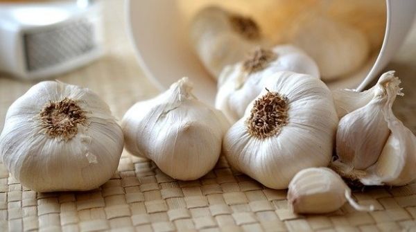 Food to lower blood sugar levels is the intake of garlic regularly. It has antioxidants, anti-cancer properties, etc.