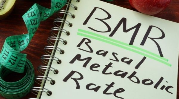 The no. of calories in the body which used to carry out for these basic functions is called a basal metabolic rate.