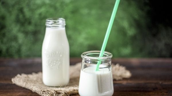 Milk & yogurt are rich in calcium which helps in metabolizing the fat very efficiently.