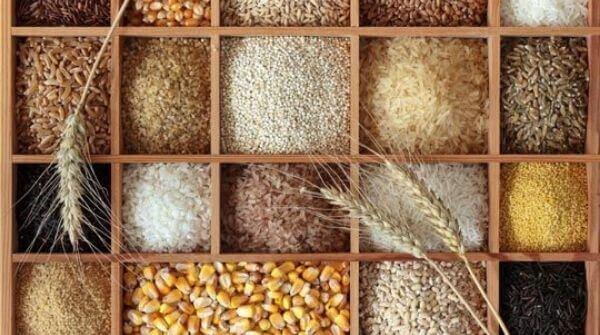 Whole grains help in calorie loss. Some of the metabolism boosting foods are sprouted grain bread, brown rice, etc.