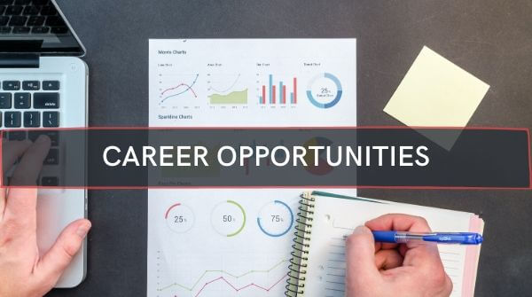 The image shows the opportunities of career in data analytics .