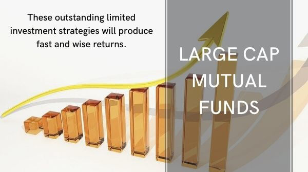 Large-Cap Mutual Funds gives wise returns after maturity if invested in the right way.