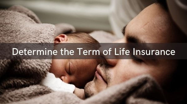 Correct way to estimate the term of your long-term life insurance plan is to determine in what year your net worth, 