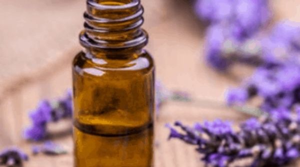 The lavender oil helps to generate new skin cells and help to get rid of dandruff.