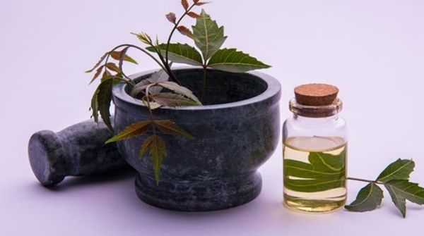Neem oil helps to treat any dermal and also skin infections and helps in blood circulation.