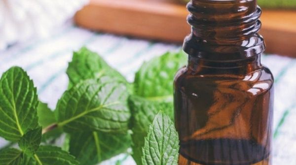 Peppermint oil will always help to increase hair growth by stimulating blood flow in the scalp.