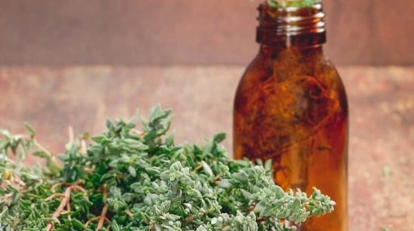 The thyme oil has anti-microbial properties, helps to get rid of dandruff, which helps to increase hair growth.