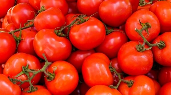 Having tomatoes regularly will help to rejuvenation the blood cells and it has anti-oxidant properties.