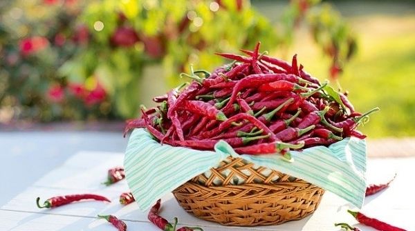 Consuming spicy foods which are containing chili peppers will help to boost the metabolism in the body.
