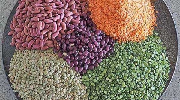 Consuming legumes & pulses helps in weight loss and also helps in increasing metabolism.