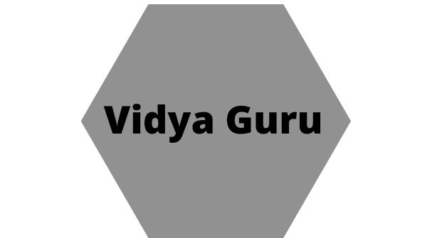 Vidya Guru is one of the Best Bank PO Coaching in Delhi