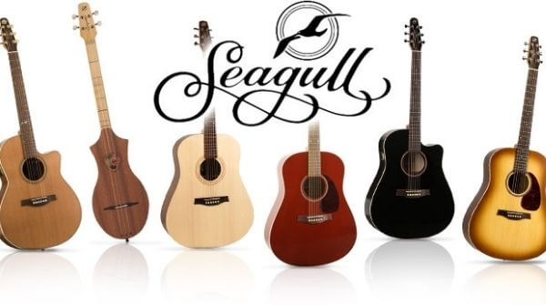 SEAGULL- BEST GUITAR BRAND